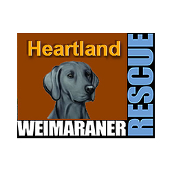 Heartland Weimaraner Rescue